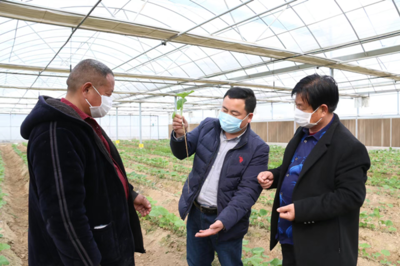 丰县范楼镇齐阁村党支部书记曹修春 以党的二十大精神为指引，加快发展特色产业和农业种植技术开发