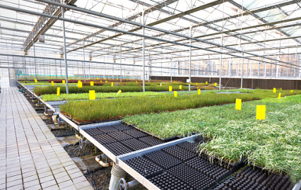 关于我们 深耕农业种植技术开发，赋能现代农业发展