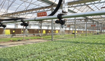 驻马店市水屯镇 科学技术'培出'产业振兴'致富苗'