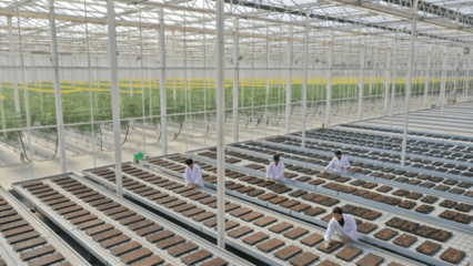 低碳农业引领绿色乡村建设 德清农业种植技术开发跑出发展加速度