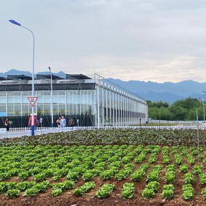 探访四省边际数字农业科创园 蔬菜种出‘科技范儿’，揭秘农业种植技术新篇章