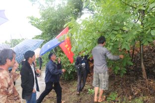 米易县农业种植技术开发 科技创新赋能乡村振兴