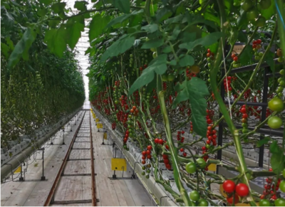 相当于几十万个大庆油田！中国会迎来地热大会战与农业种植技术开发吗？