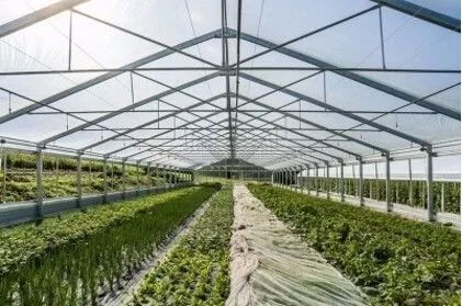 科技引领变革 未来农业发展趋势与种植技术开发前瞻